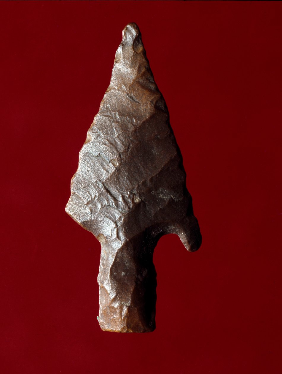Antichità egizia: punta di freccia dal sito di Fayoum (Fayyum) in Egitto. Periodo predinastico. Verona, Museo Civico di Storia Naturale da Prehistoric Prehistoric