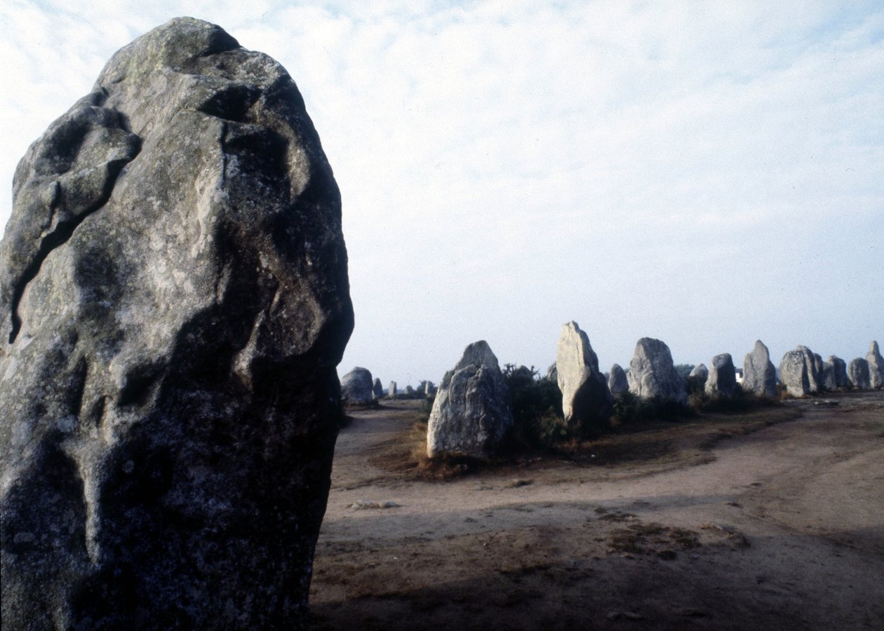 Monumenti megalitici di Carnac a Kermario da Prehistoric Prehistoric