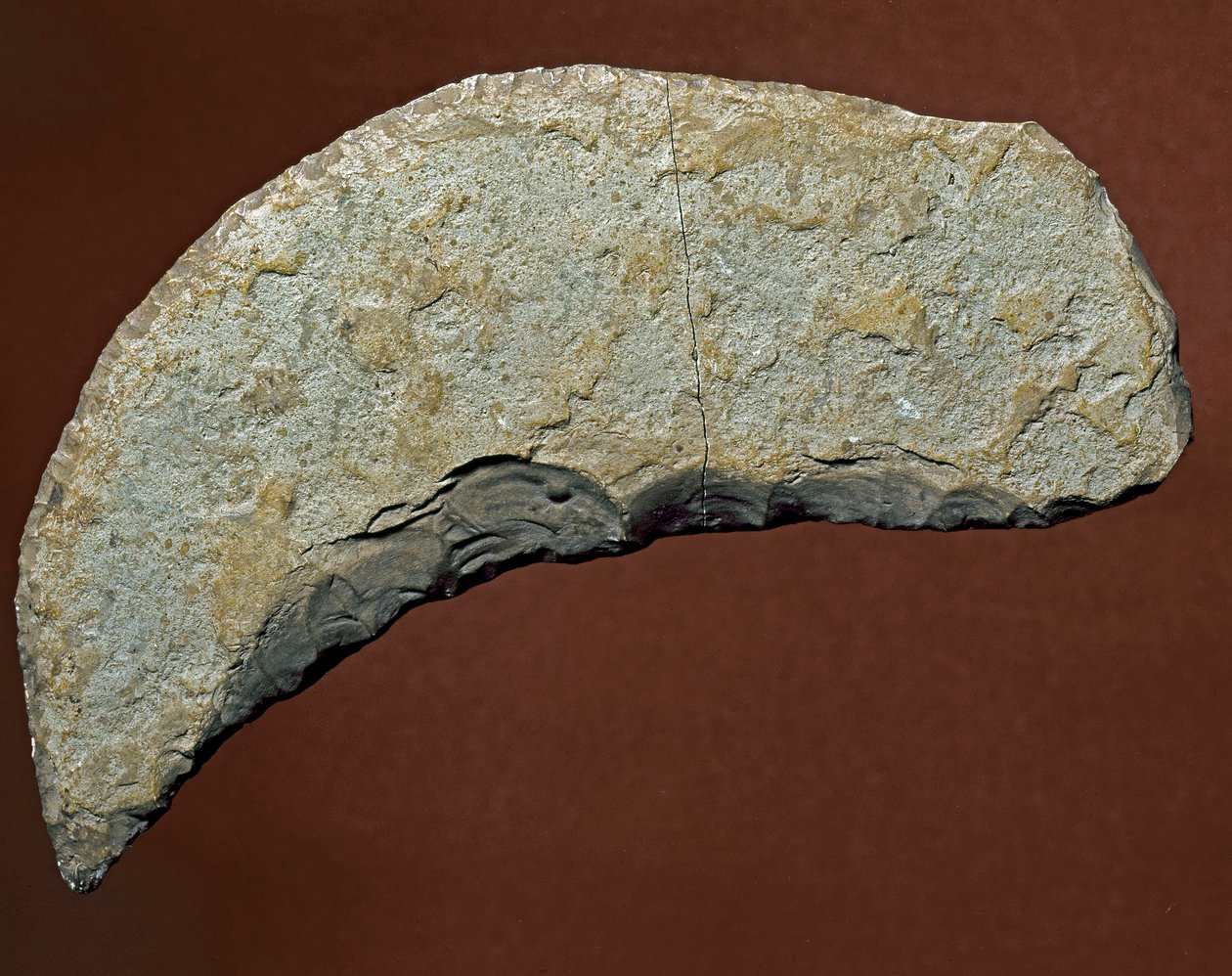 Preistoria: utensile tipo chopper di manifattura litica di Kjokkenmoddinger, Danimarca. Paleolitico da Prehistoric Prehistoric