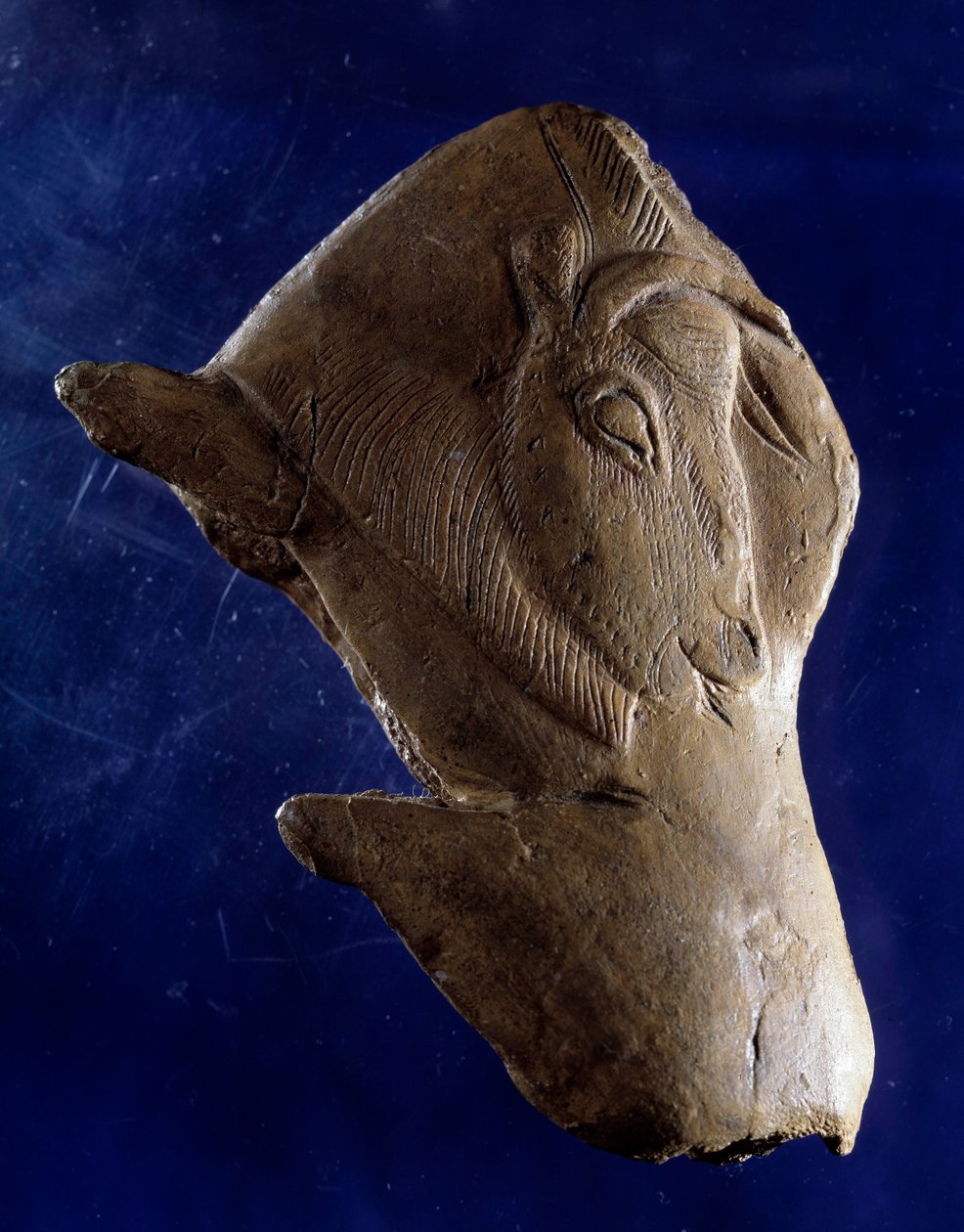 Arte preistorica (Magdaleniano superiore): "Bisonte che si alza" da Prehistoric Prehistoric