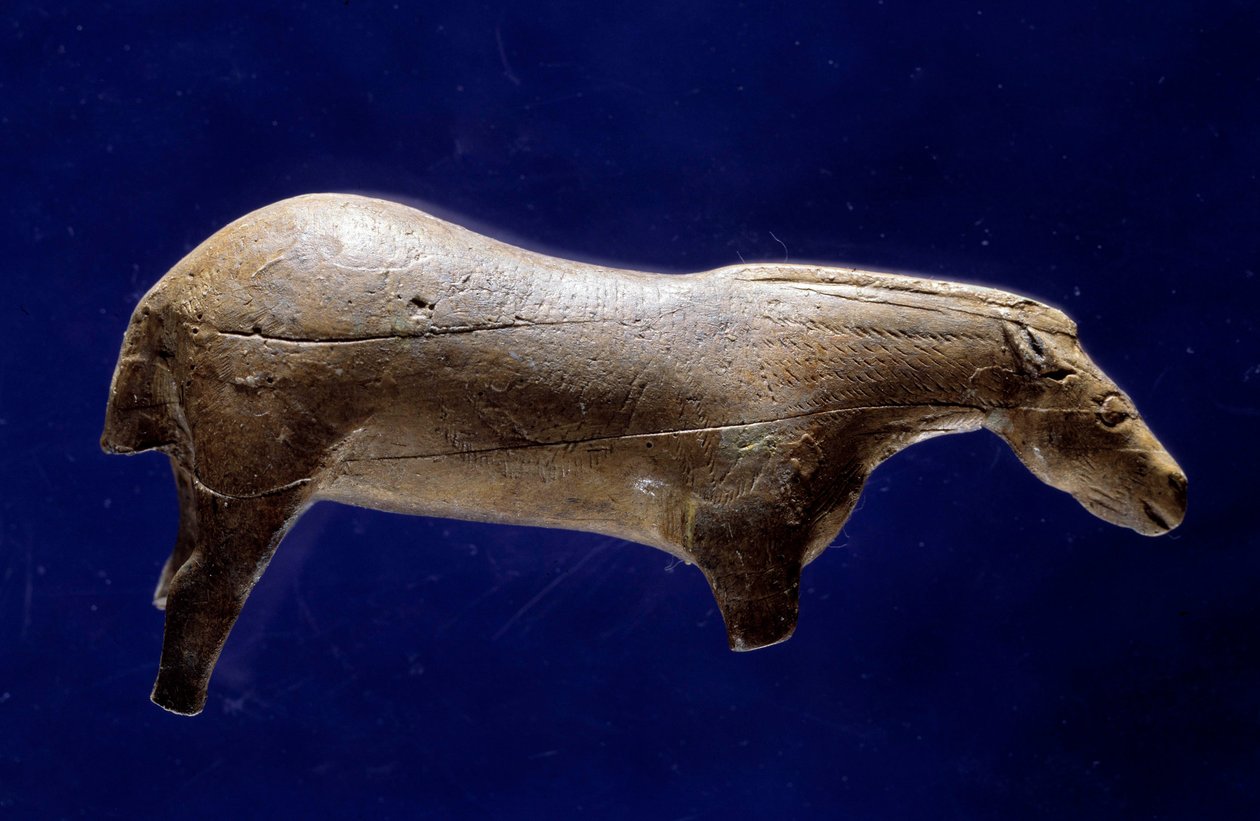 Arte preistorica (Magdaleniano Medio): scultura in avorio di mammut di un cavallo dalla grotta di Espelugues (Hautes-Pyrénées) da Prehistoric Prehistoric