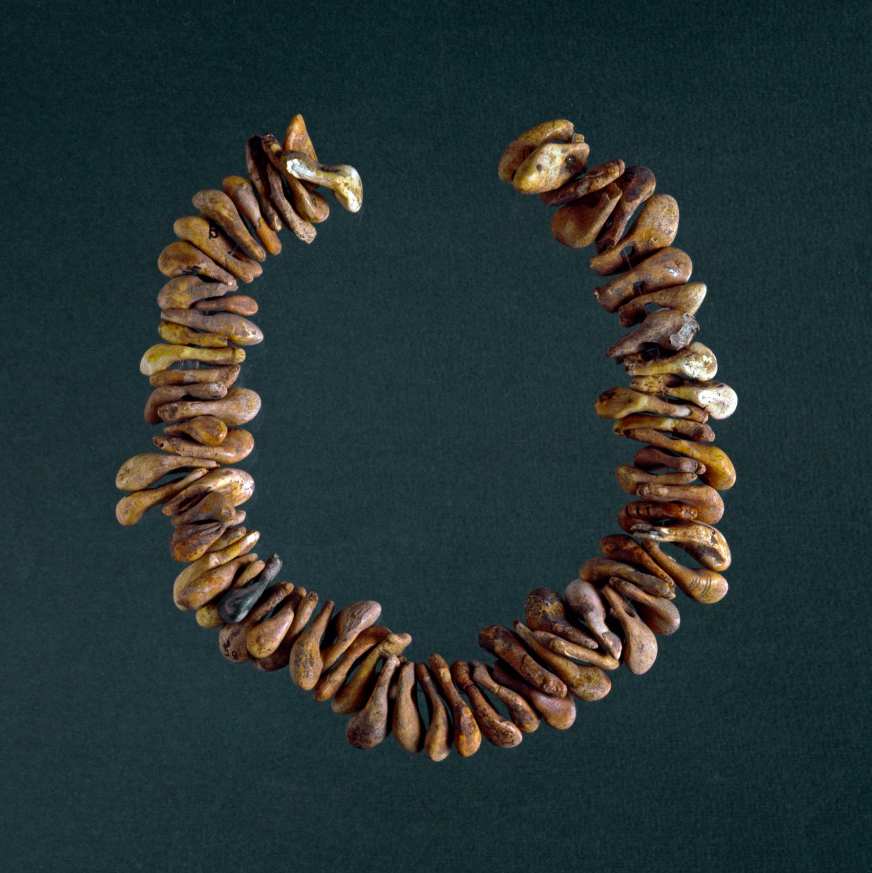 Preistoria, Età della Pietra: collana di ossa dalla grotta di Polesine, Veneto. Roma, Museo Nazionale Preistorico Etnografico Luigi Pigorini da Prehistoric Prehistoric
