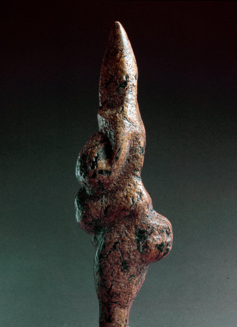 Preistoria: Venere di Savignano, scultura litica antropomorfa trovata nel 1925 a Savignano sul Panaro. Paleolitico superiore, Età della Pietra. Altezza: 22 cm. Museo Nazionale Preistorico Etnografico Luigi Pigorini, Roma, Italia da Prehistoric Prehistoric