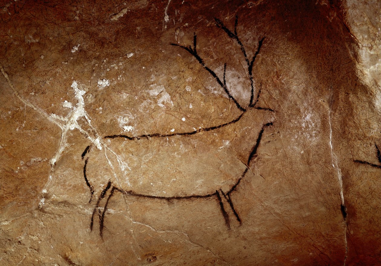 Preistoria: un cervo. Pittura rupestre del paleolitico superiore (Magdaleniano) (16.500 e 14.000 anni fa). Età della pietra. Grotta di Las Chimeneas, Monte Castillo, Spagna da Prehistoric Prehistoric