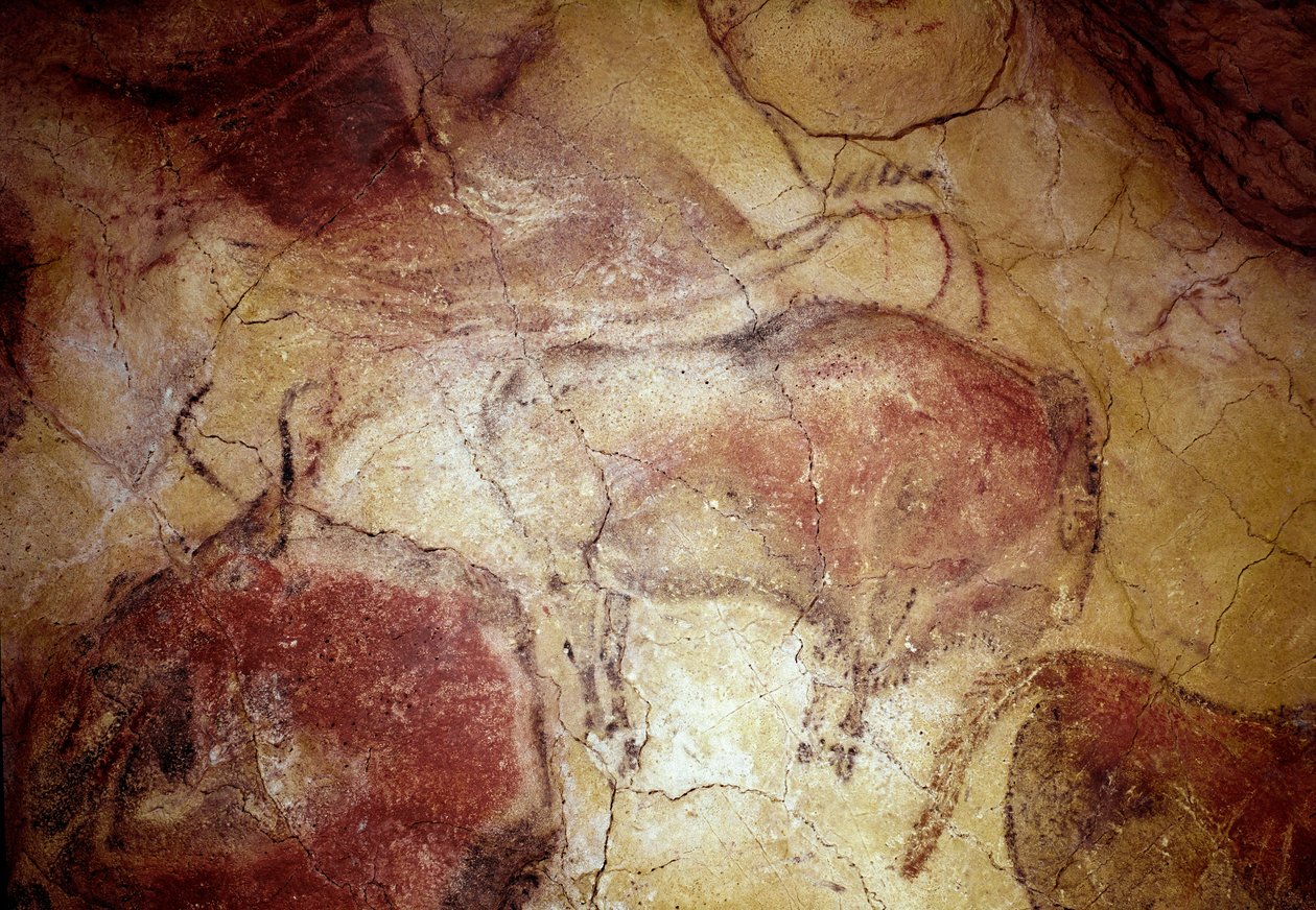 Preistoria: bisonte a riposo, pittura rupestre del Paleolitico superiore (Magdaleniano). Grotta di Altamira, Santander, Spagna da Prehistoric Prehistoric