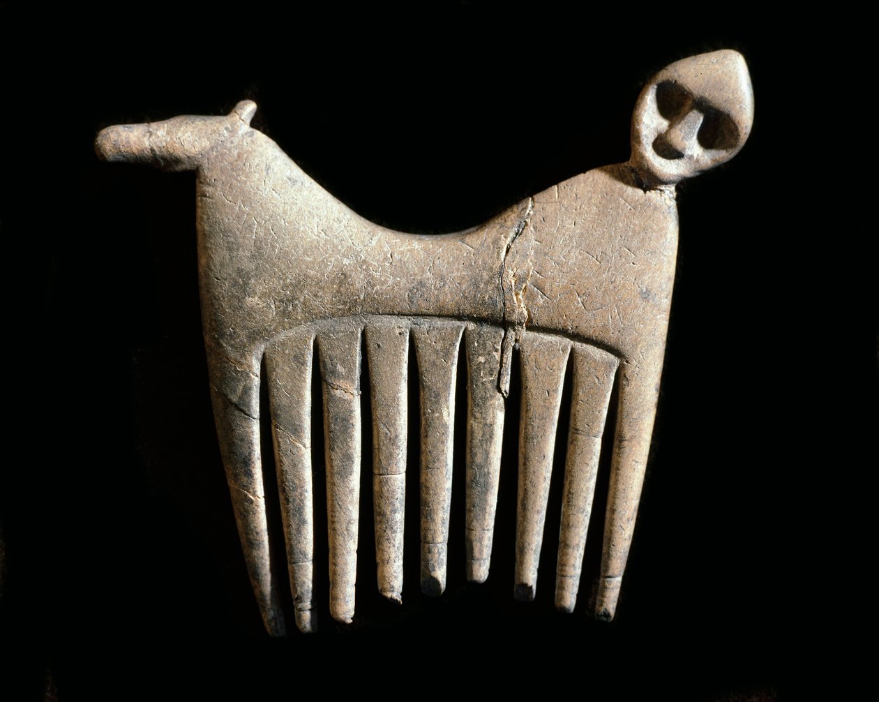 Preistoria: pettine d