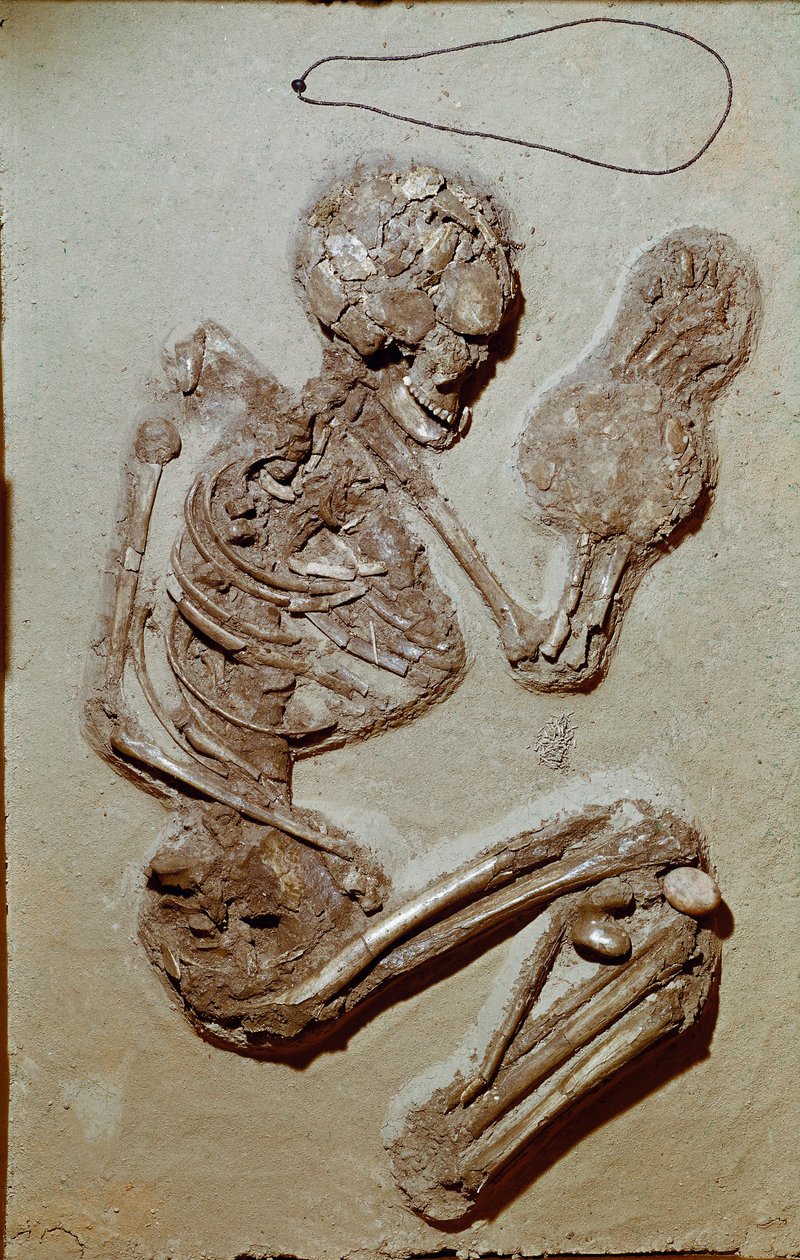 Preistoria: scheletro femminile risalente al Neolitico superiore. Cultura di Chiozza. 2900-2700 a.C. Reggio Emilia, Musei Civici, Museo Chierici, Italia da Prehistoric Prehistoric
