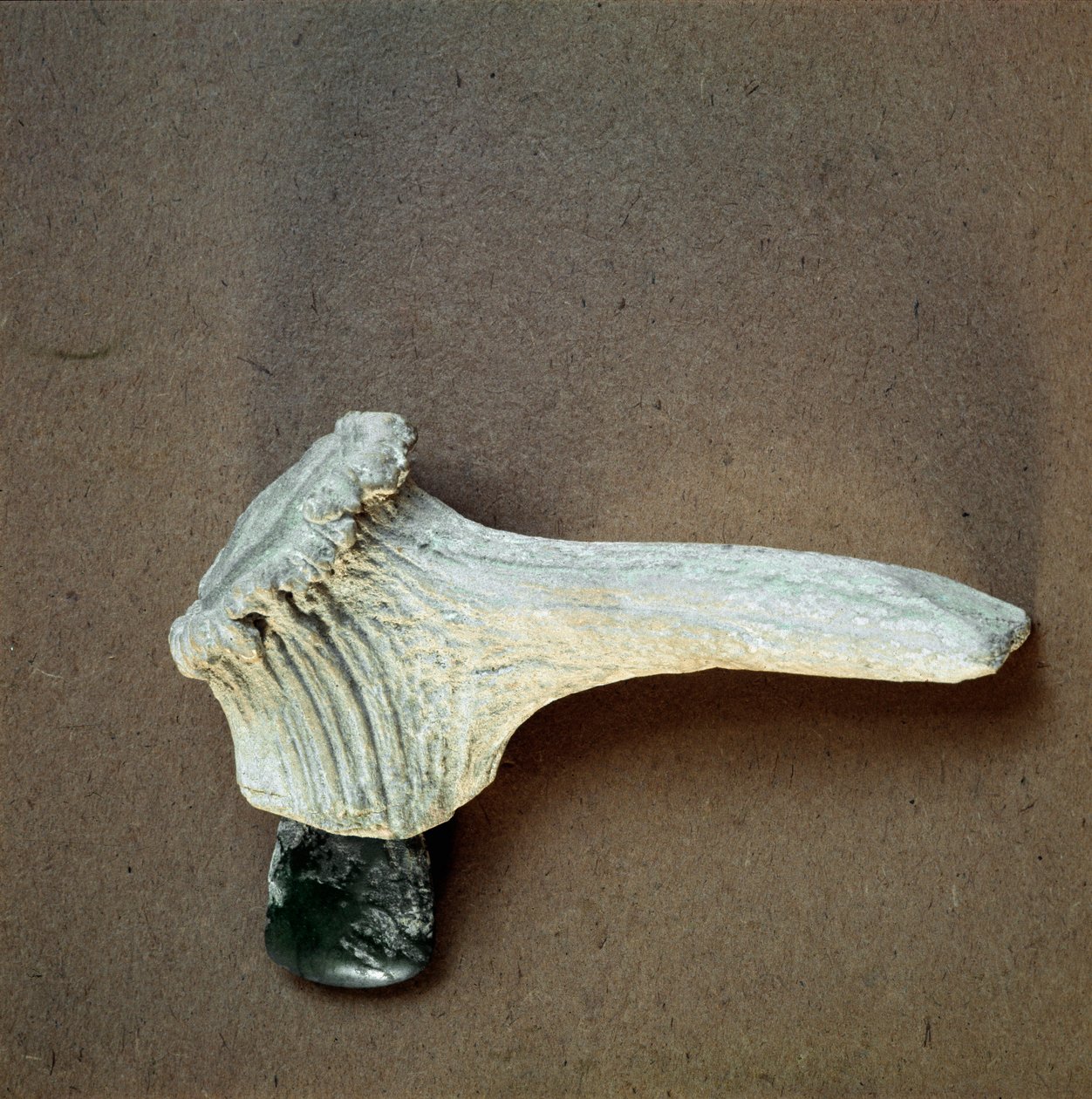 Preistoria: ascia in pietra verde con manico in corno di cervo dalla grotta di Pollera (Finale Ligure), Liguria. Neolitico medio, Età della Pietra. Genova, Museo di Archeologia Ligure da Prehistoric Prehistoric