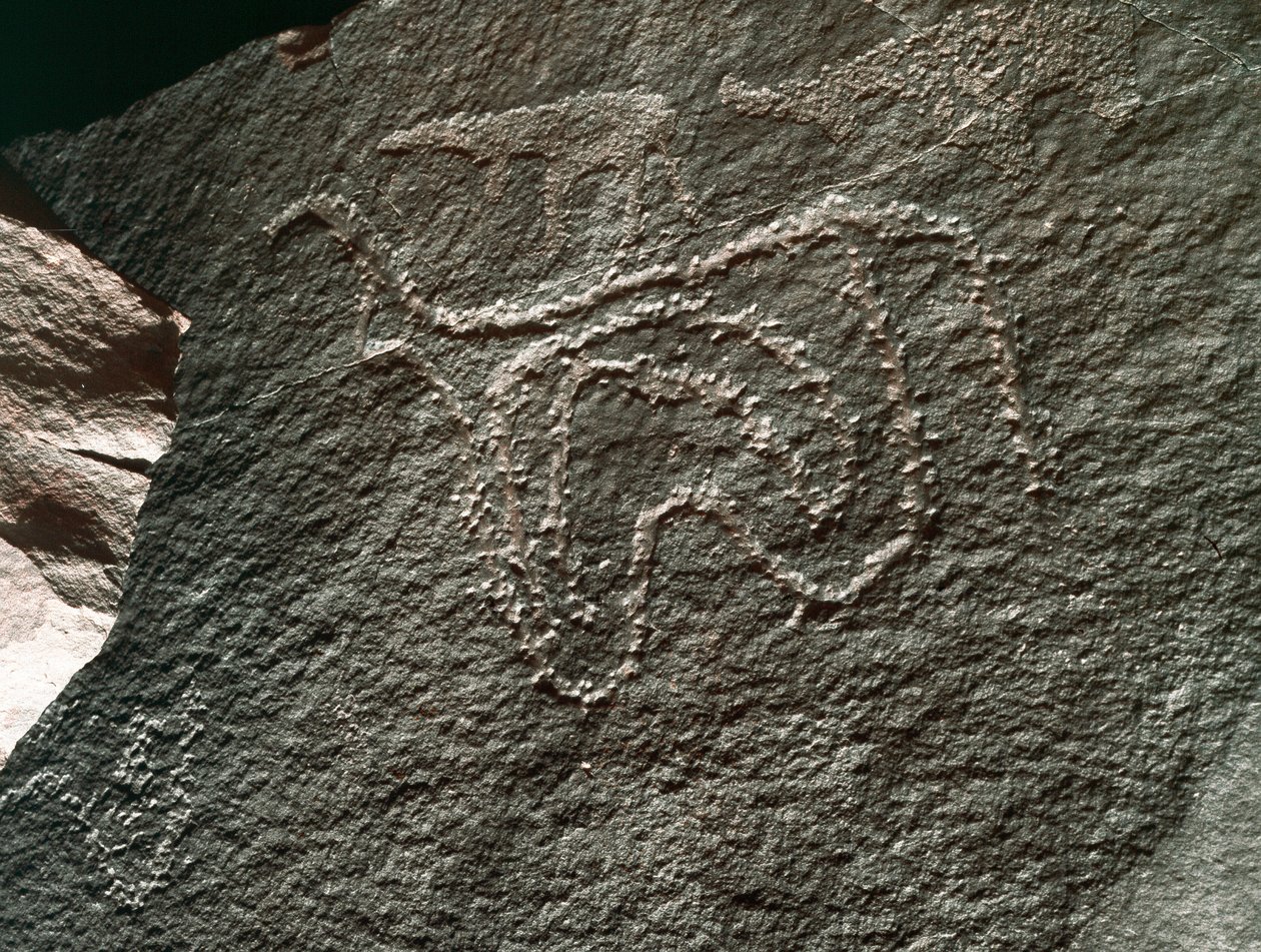 Preistoria, arte rupestre: rappresentazione di un bovino da Prehistoric Prehistoric