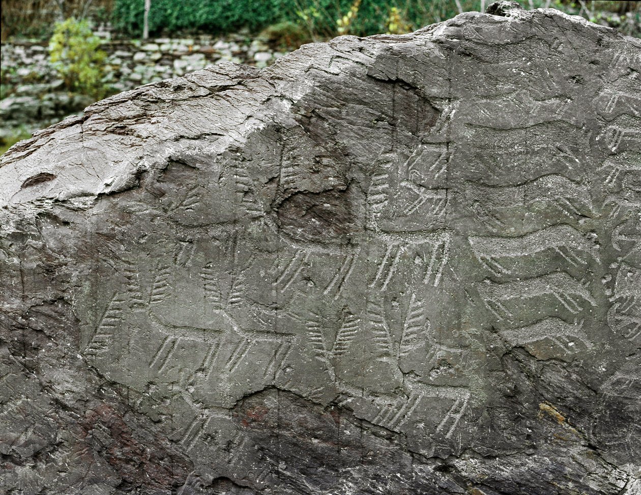 Preistoria, arte rupestre: roccia tombale con rappresentazioni di cervi, bovini. Età del rame. Periodo Eneolitico (calcolitico). Roccia n. 1. Cemmo (Brescia) da Prehistoric Prehistoric