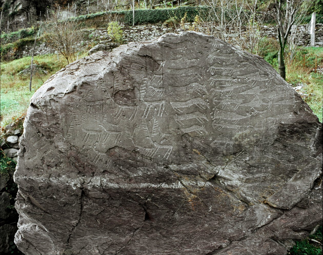 Preistoria, arte rupestre: roccia tombale con rappresentazioni di cervi, bovini e pugnali. Età del rame. Periodo eneolitico. Roccia n. 1. Cemmo (Brescia) Parco archeologico nazionale dei Massi di Cemmo, Italia da Prehistoric Prehistoric