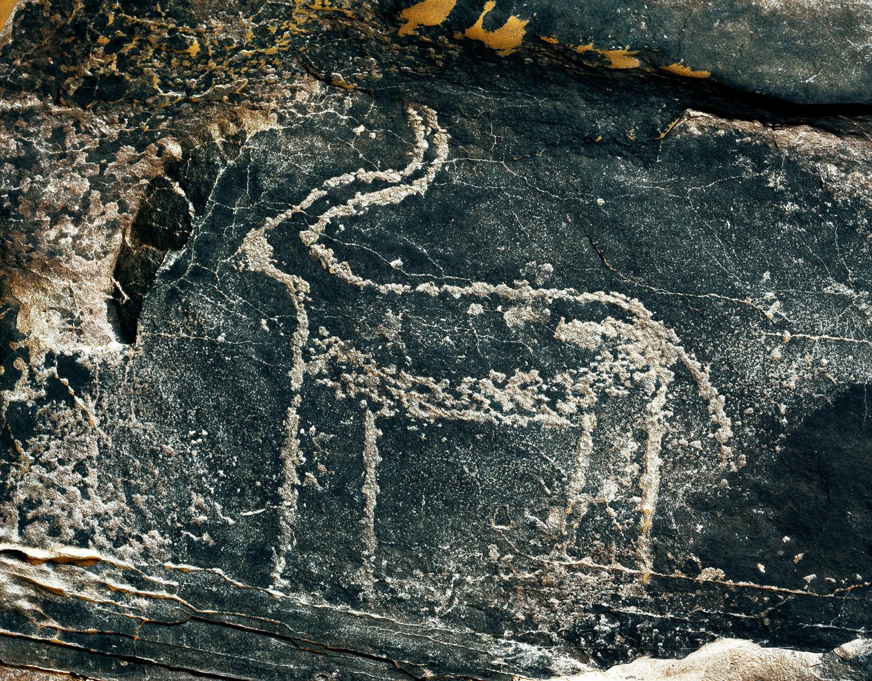Preistoria, arte rupestre: roccia funeraria con rappresentazione di un