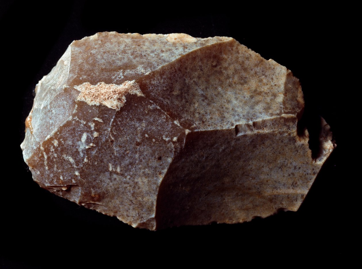 Preistoria: raschiatoio su pietra. Paleolitico superiore, Magdaleniano. Verona, Museo Civico di Storia Naturale da Prehistoric Prehistoric