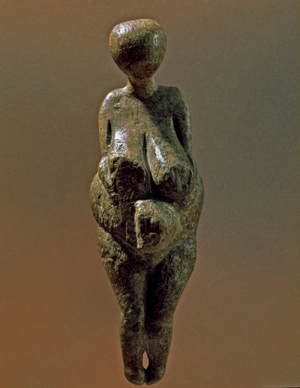 Preistoria: statua di donna Gravettiana dal sito di Kostenki (Oblast di Voronezh). 30000-25000 a.C. Paleolitico superiore. San Pietroburgo, Museo di Antropologia ed Etnografia Pietro il Grande, Russia da Prehistoric Prehistoric