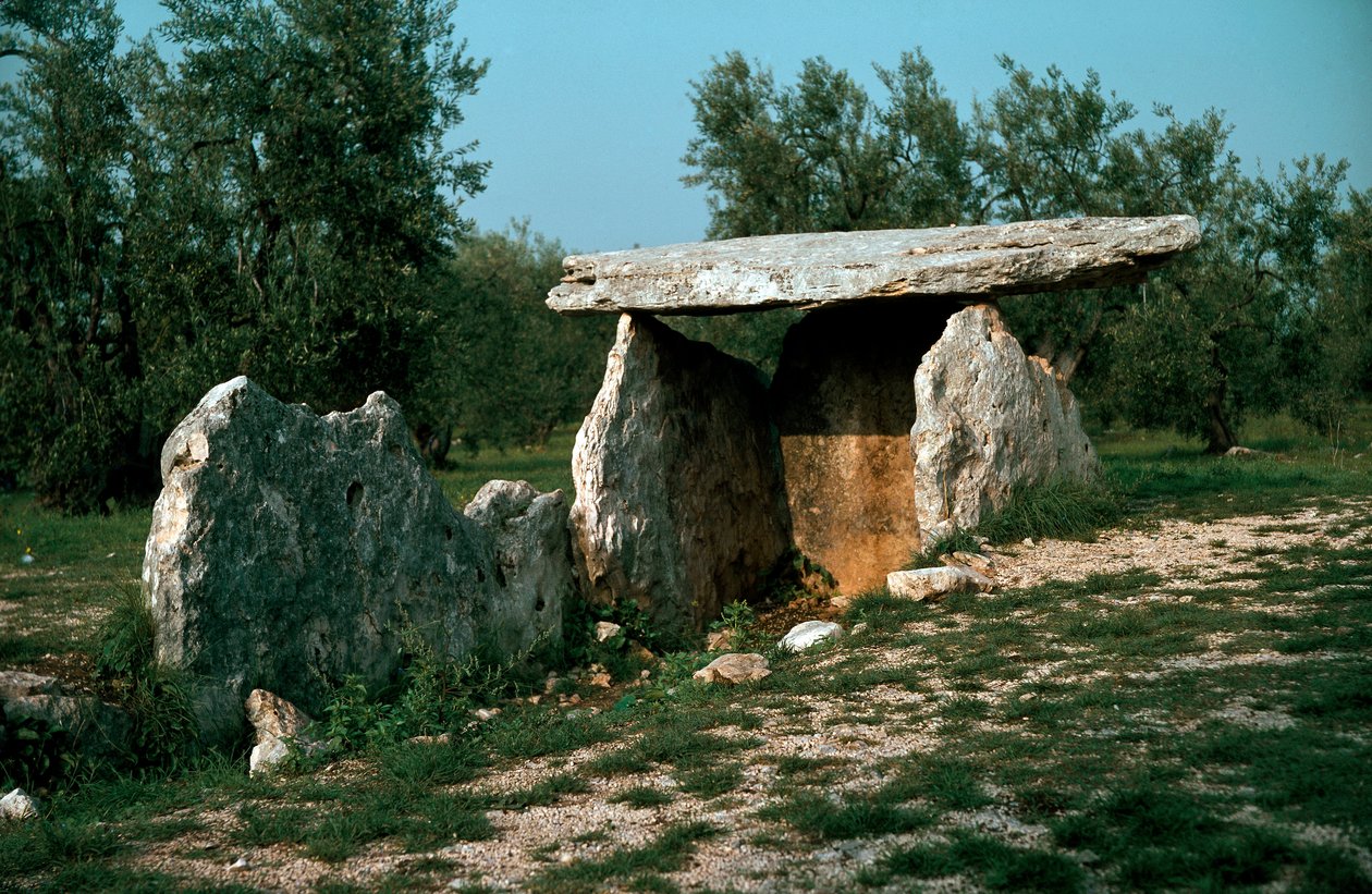Preistoria: vista del dolmen di Chianca con il suo corridoio d