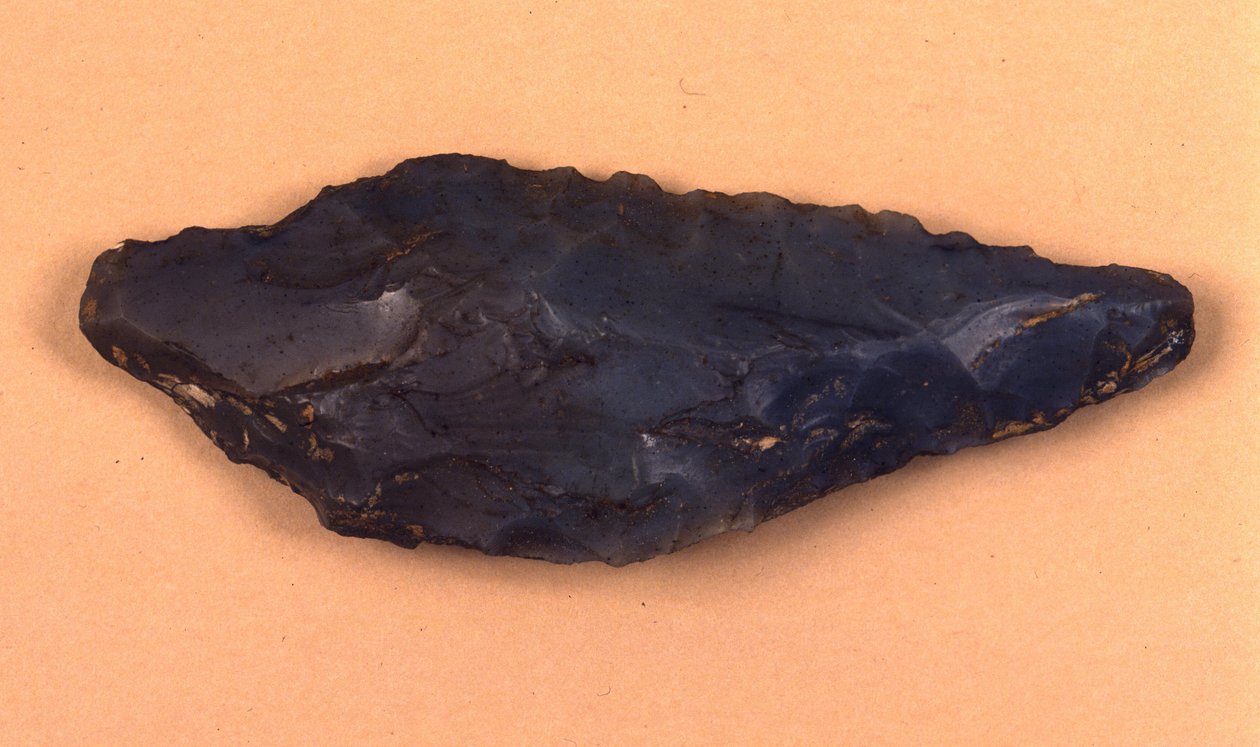 Punta di freccia in pietra scoperta a Isolino di Varese (Italia) da Prehistoric Prehistoric