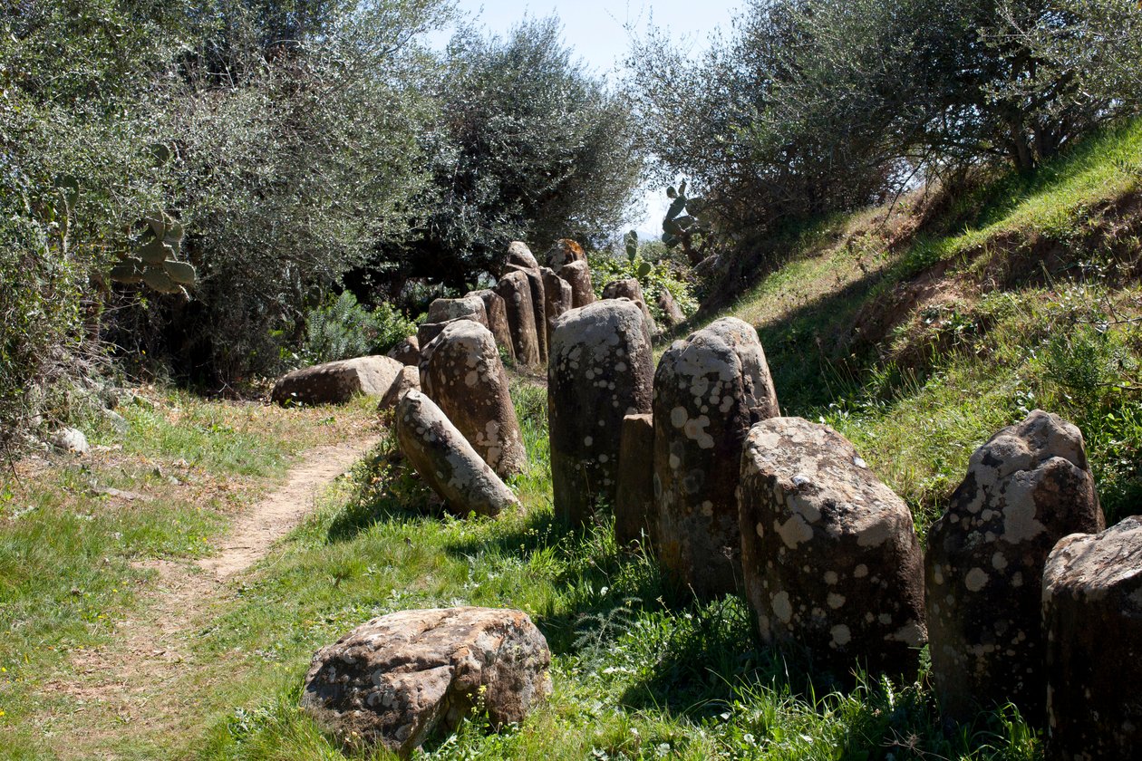 Il sito archeologico del cromlech M Zora, a Sidi El Yamani (Marocco) da Prehistoric Prehistoric