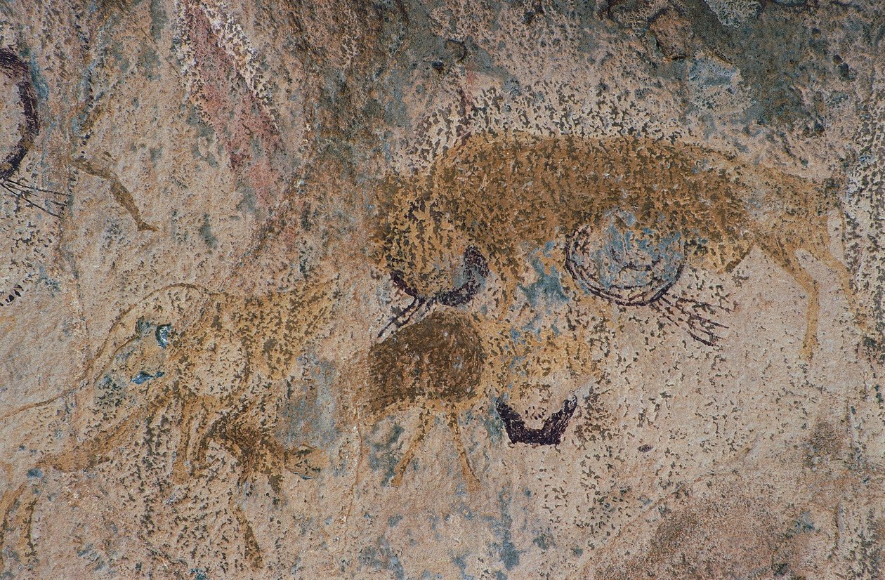 Animali selvatici (pittura rupestre) da Prehistoric Prehistoric