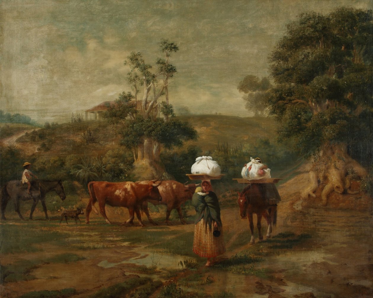 Lavandaie nel basso di Belgrano da Prilidiano Pueyrredon