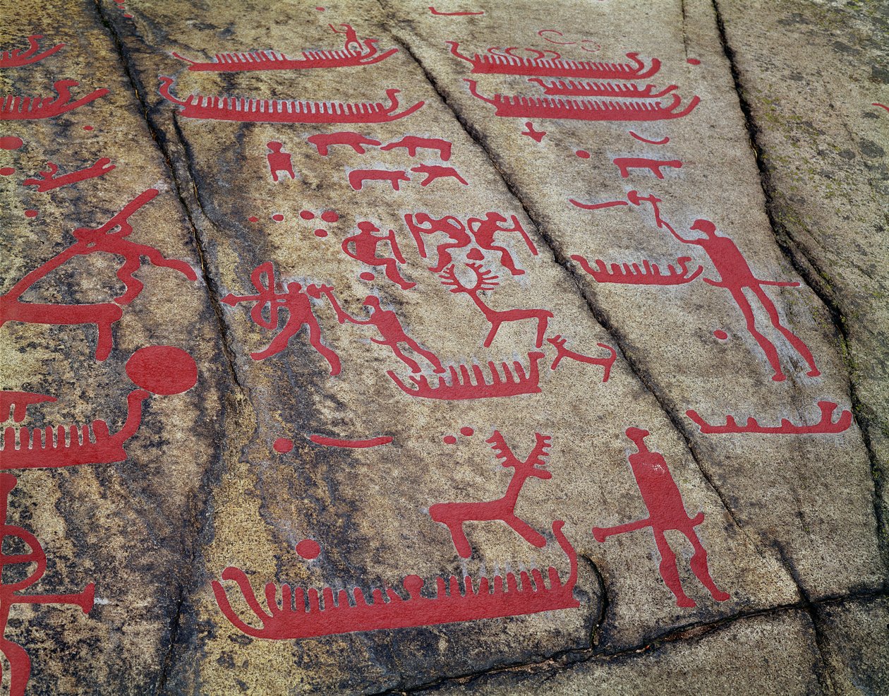 Scene di caccia in barca e cervi (incisione rupestre) da Protohistoric