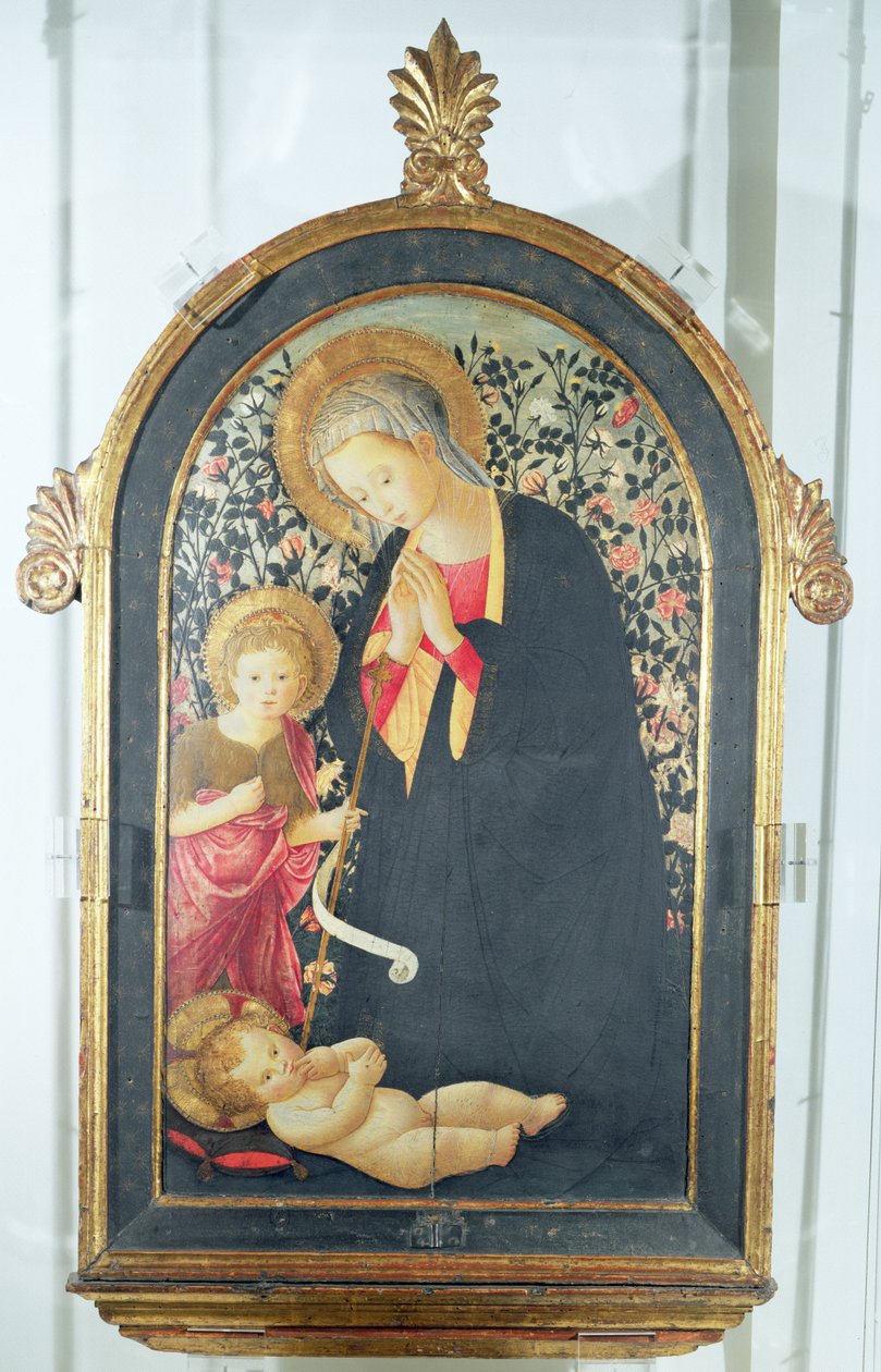 Adorazione del Bambino con il giovane San Giovanni Battista da Pier Francesco Fiorentino