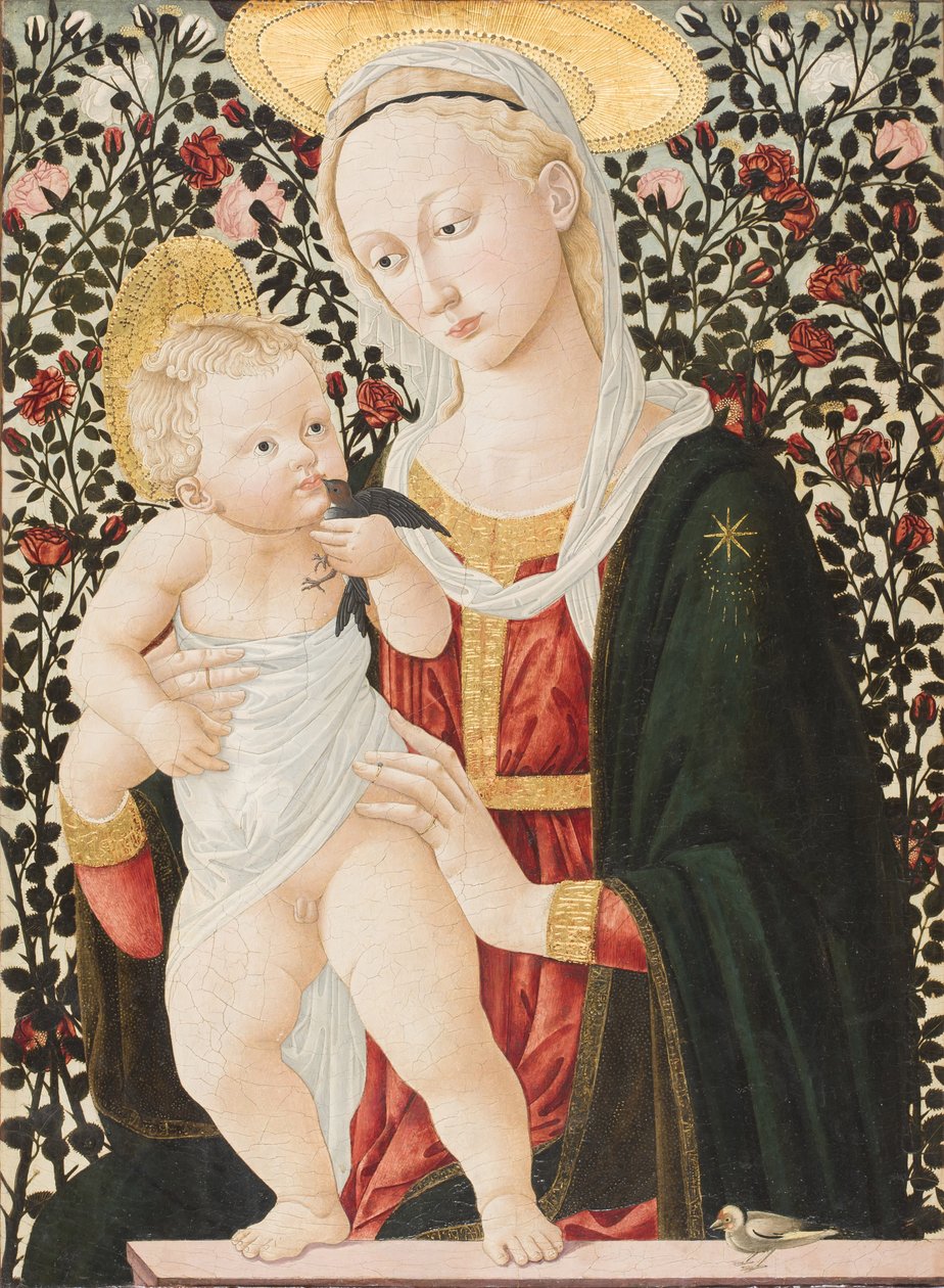 Madonna delle Rose, c.1485-90 da Pier Francesco Fiorentino