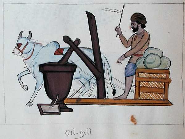 Mulino ad Olio, c.1890 da Punjabi School