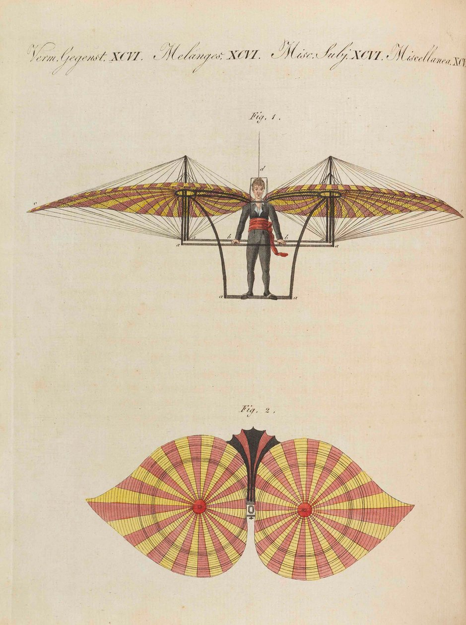 Libro illustrato per bambini Enciclopedia dei bambini di Friedrich Johann Justin Bertuch da Pupils of the Weimar Princely Free