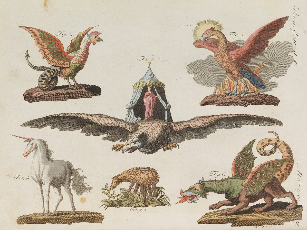 Libro illustrato per bambini Enciclopedia per bambini di Friedrich Johann Justin Bertuch da Pupils of the Weimar Princely Free