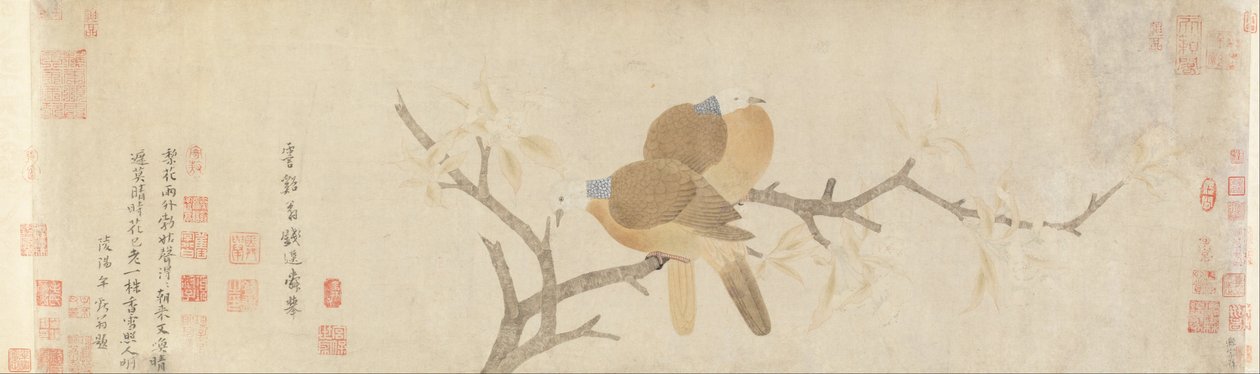 Colombe e fiori di pero dopo la pioggia da Qian Xuan