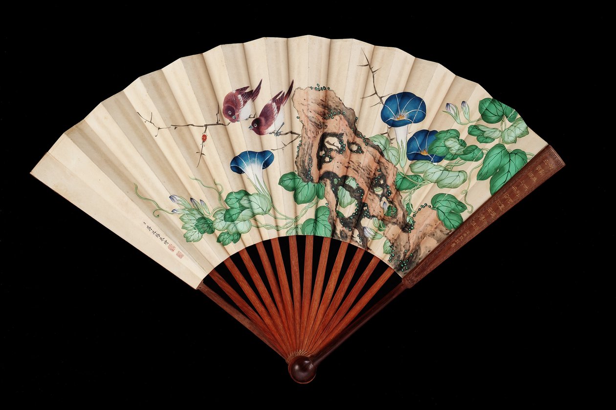 Ventaglio decorato con piccoli uccelli e glorie del mattino da Qing Dynasty Chinese School