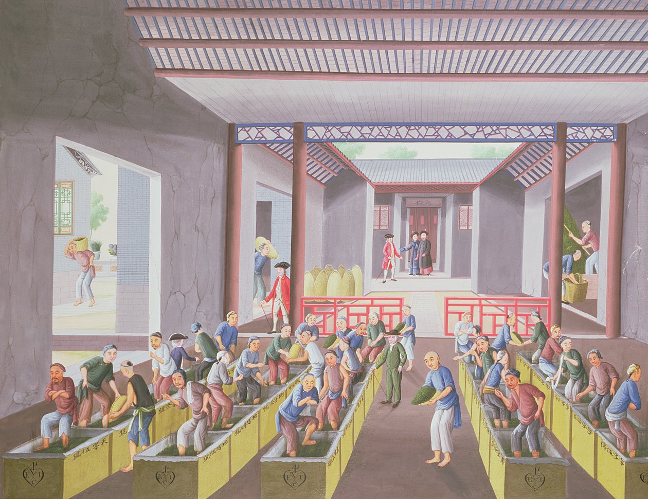 Preparazione del tè, da un album di 23 dipinti, c.1790 (colore su carta) da Qing Dynasty Chinese School