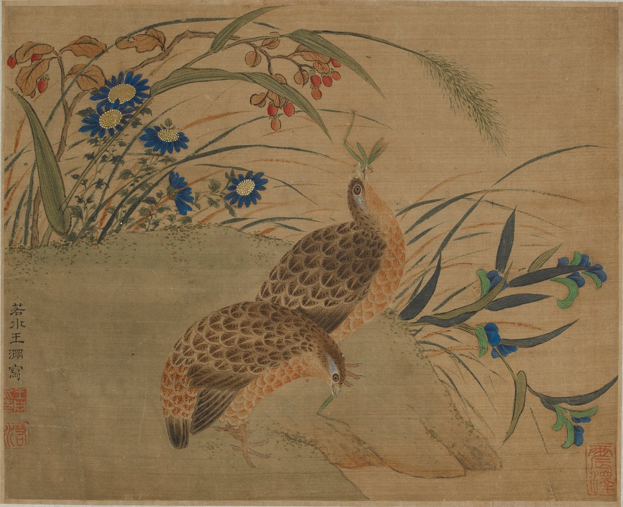 Due quaglie che mangiano cavallette sotto i fiori da Qing Dynasty Chinese School