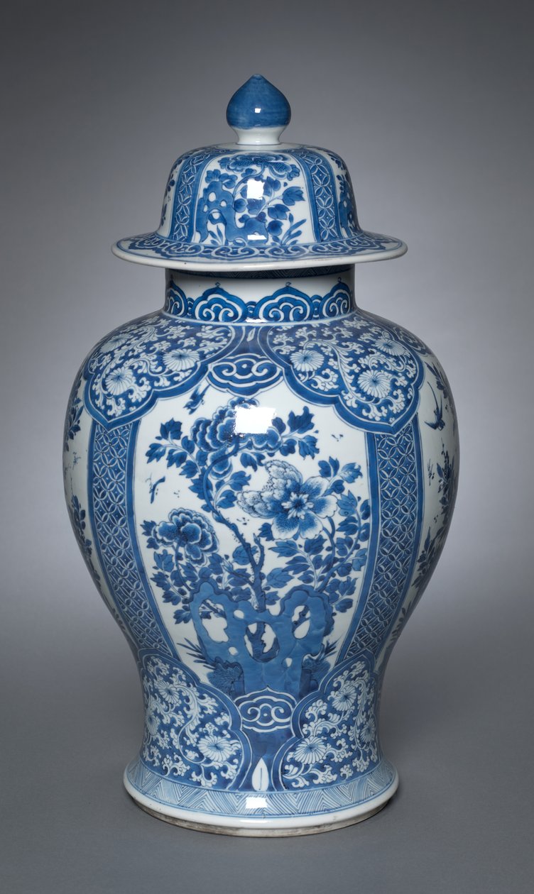 Vaso con coperchio da Qing Dynasty Chinese School