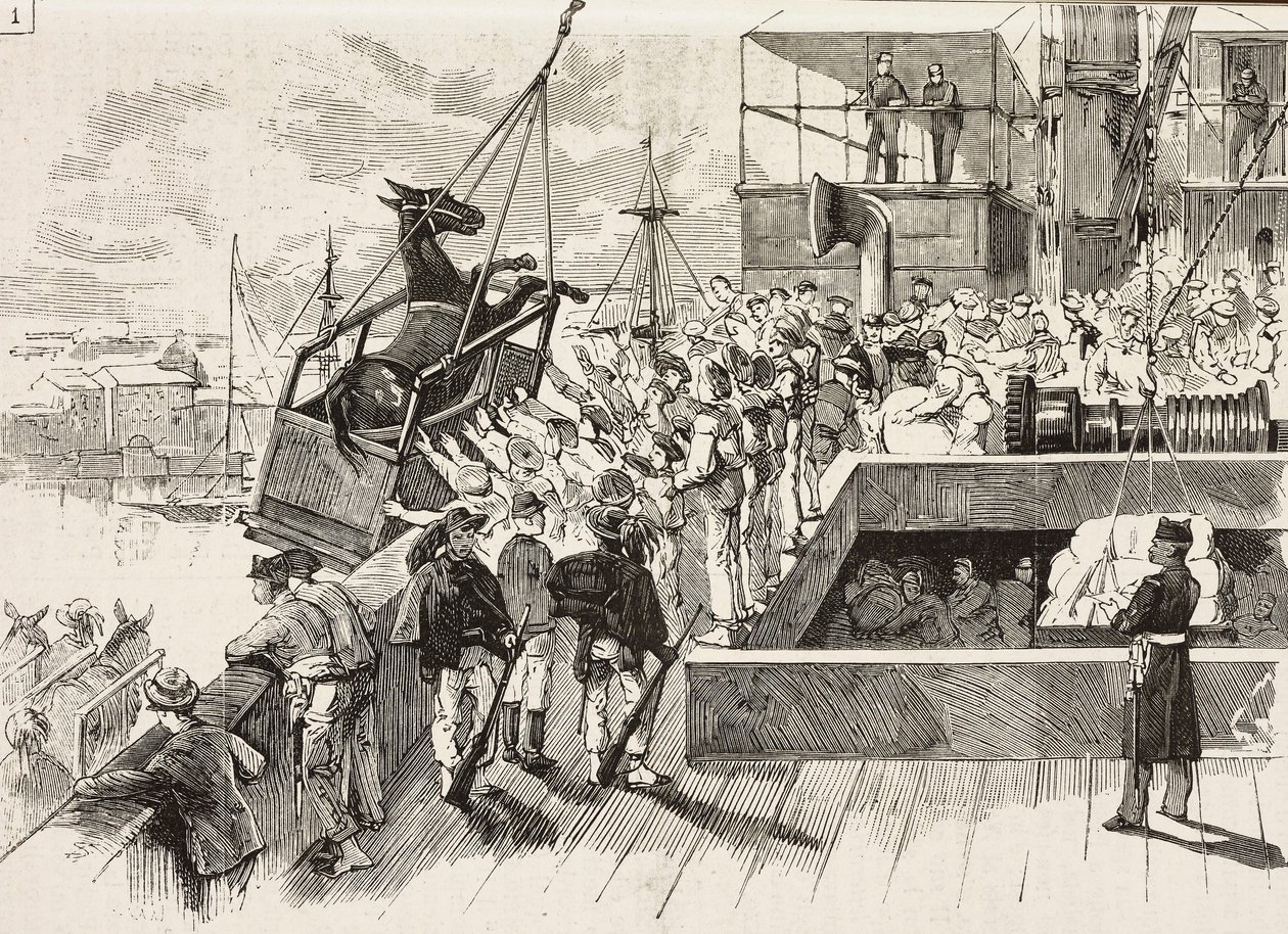 Un mulo viene caricato sulla nave Principe Amedeo, spedizione italiana nel Mar Rosso, Italia, incisione da un disegno di Quinto Cenni e schizzo di M Dal Don, da L