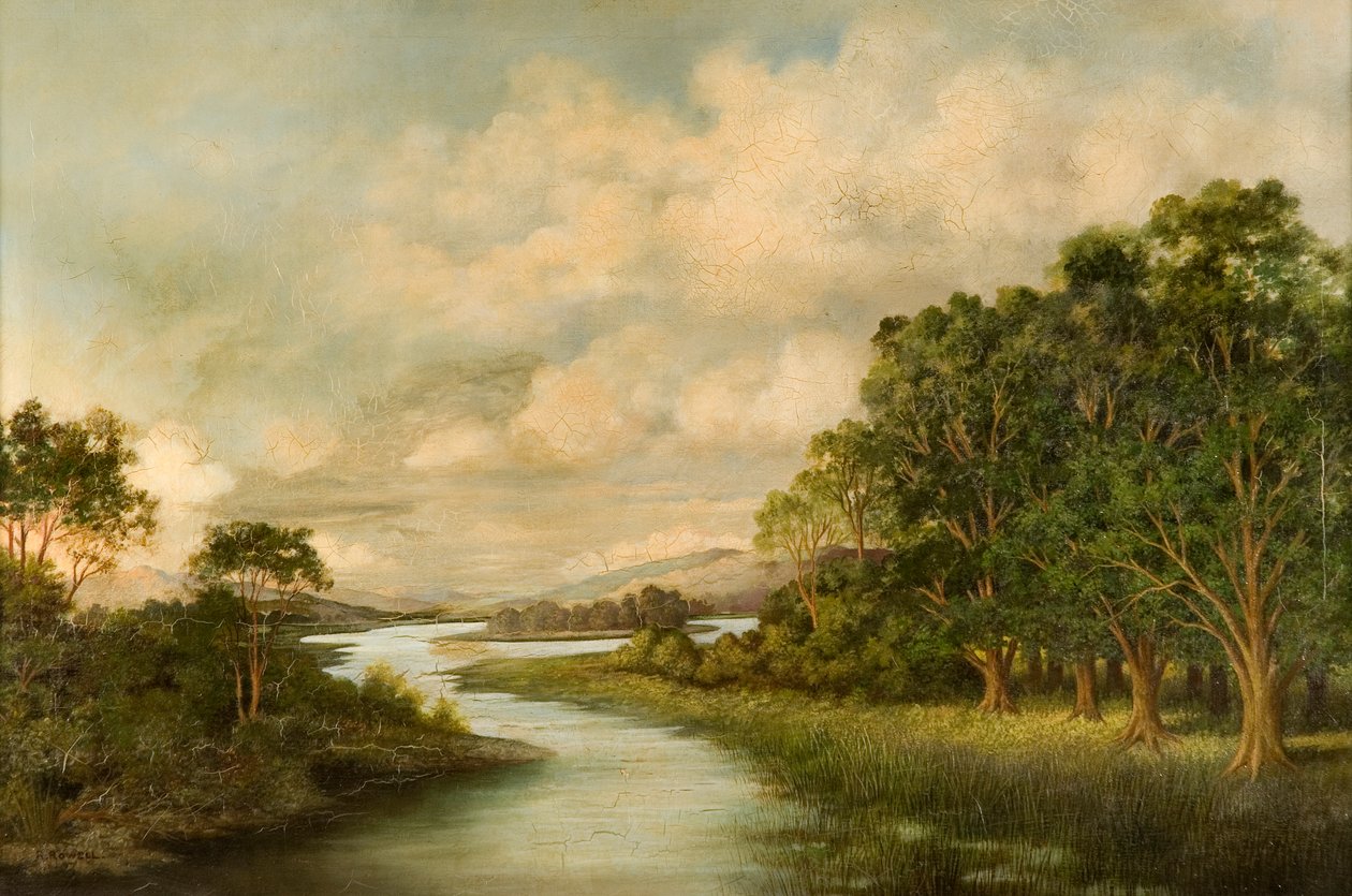 Veduta del fiume Tyne settentrionale da R. Rowell
