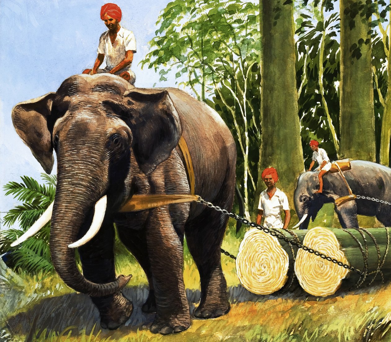 Elefanti al lavoro da R.B. Davis