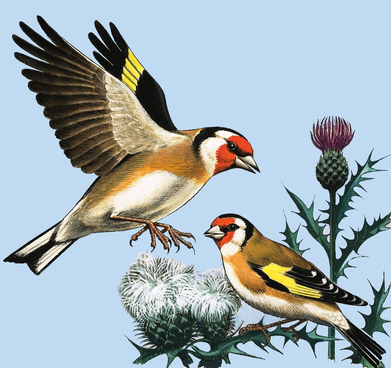 La campagna a settembre, illustrazione da "Peeps at Nature". da R.B. Davis