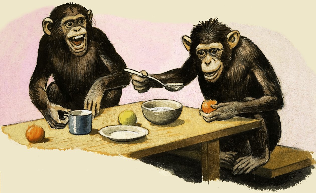 Z come Zoo. La festa del tè dello scimpanzé da R.B. Davis