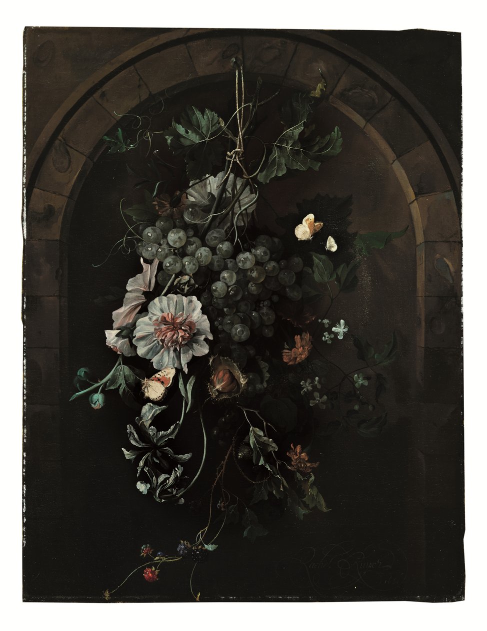 Un festone di uva, malvarosa, iris, malva, calendule africane, clematide, ippocastano e more con farfalle e altri insetti sospesi davanti a un arco di pietra da Rachel Ruysch