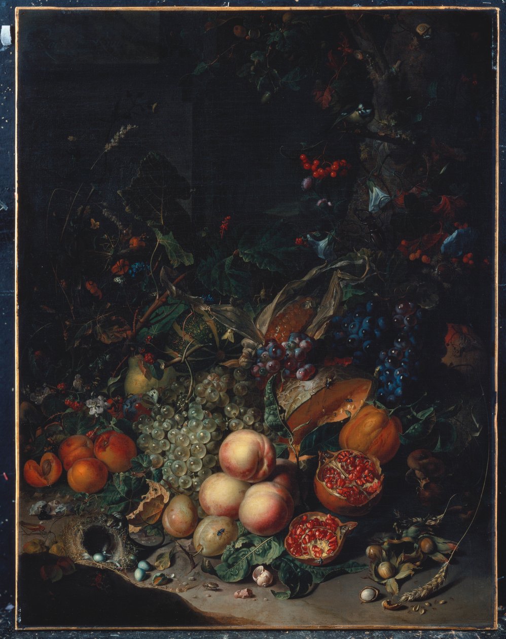 Pesche, uva, melograni, meloni, una pannocchia, albicocche, prugne, pere, ghiande da Rachel Ruysch