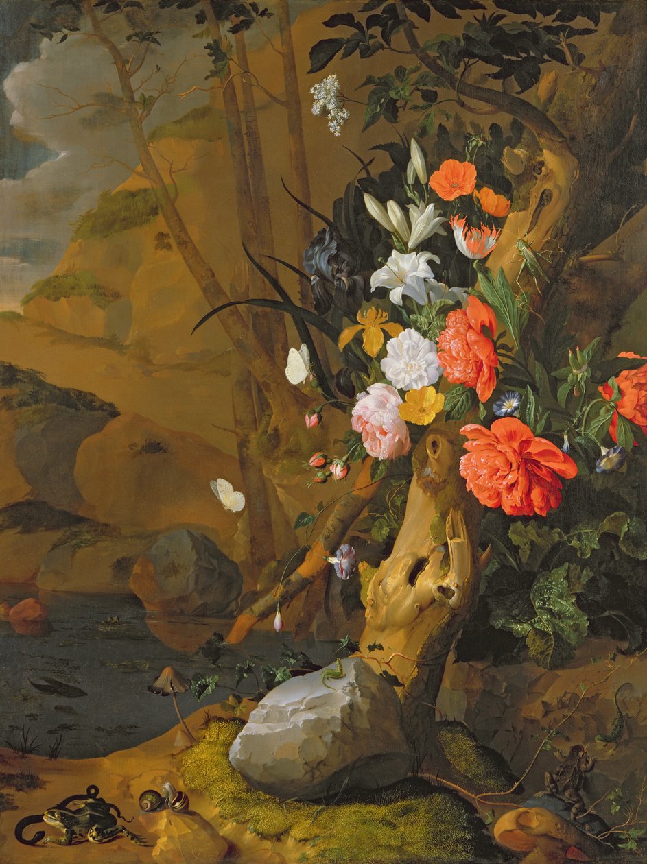 Immagine sconosciuta da Rachel Ruysch