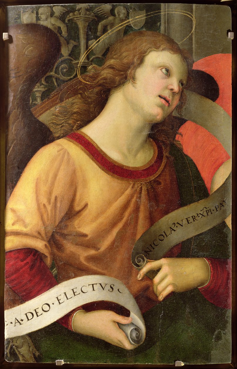 Angelo, dal polittico di San Nicola da Tolentino, 1501 da Raffaello Sanzio Raphael