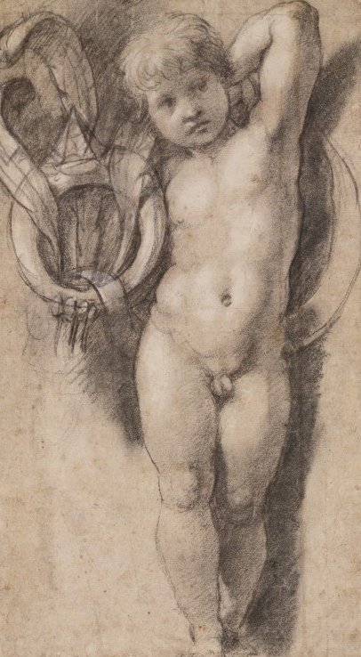Putto con simboli dei Medici da Raffaello Sanzio Raphael