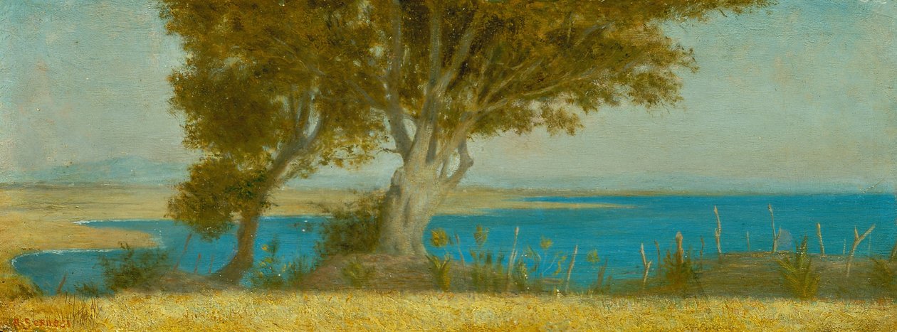 Marina di Castiglioncello da Raffaello Sernesi