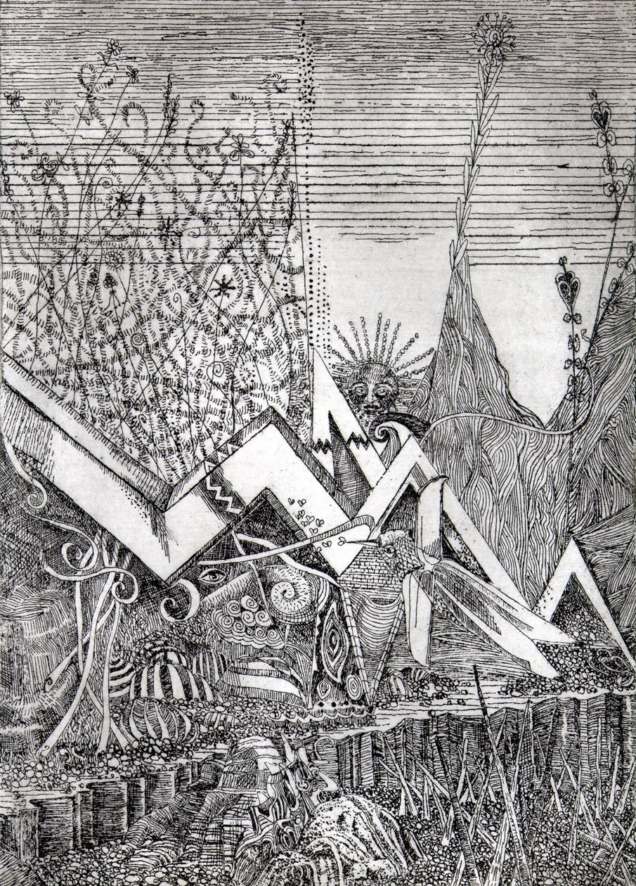Colibrì da Raimondo Gambino