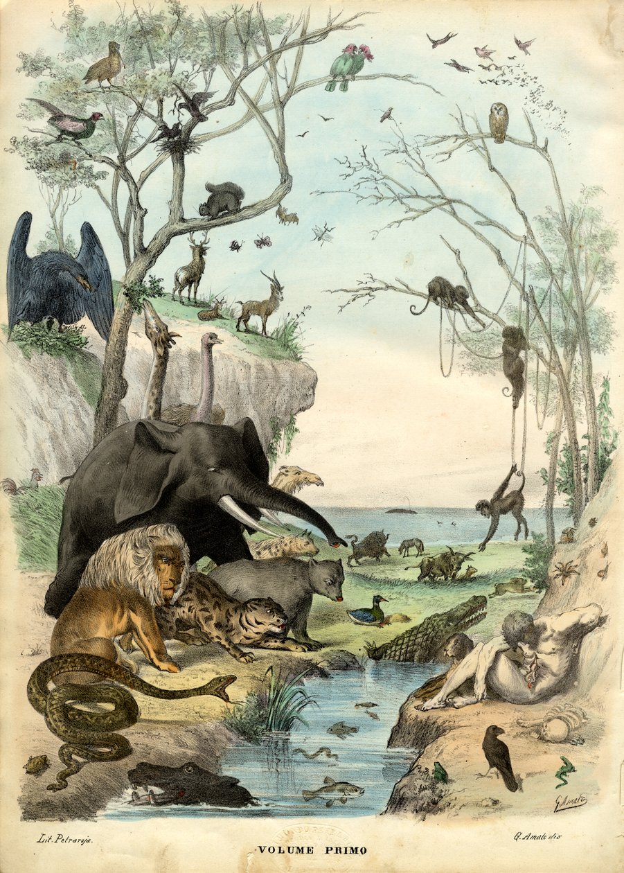 Pagina del titolo, 1863-79 da Raimundo Petraroja