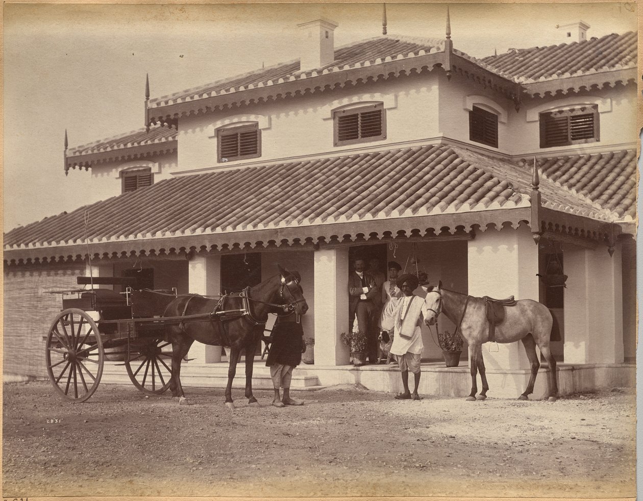 Signor MacNull, Jhansi (verso) da Raja Deen Dayal