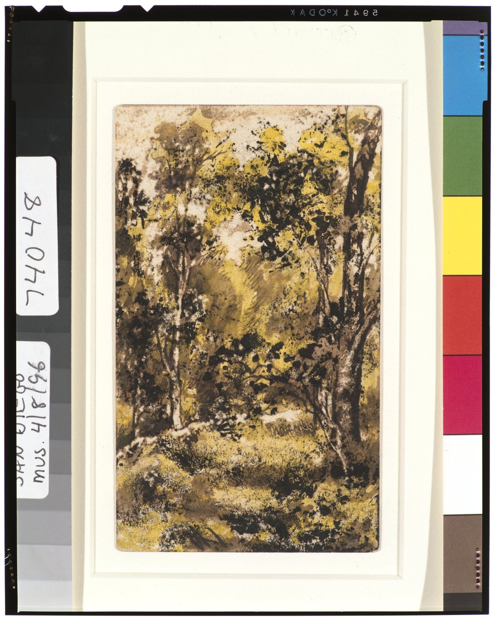 Scena forestale, 1901-15 da Ralph Albert Blakelock