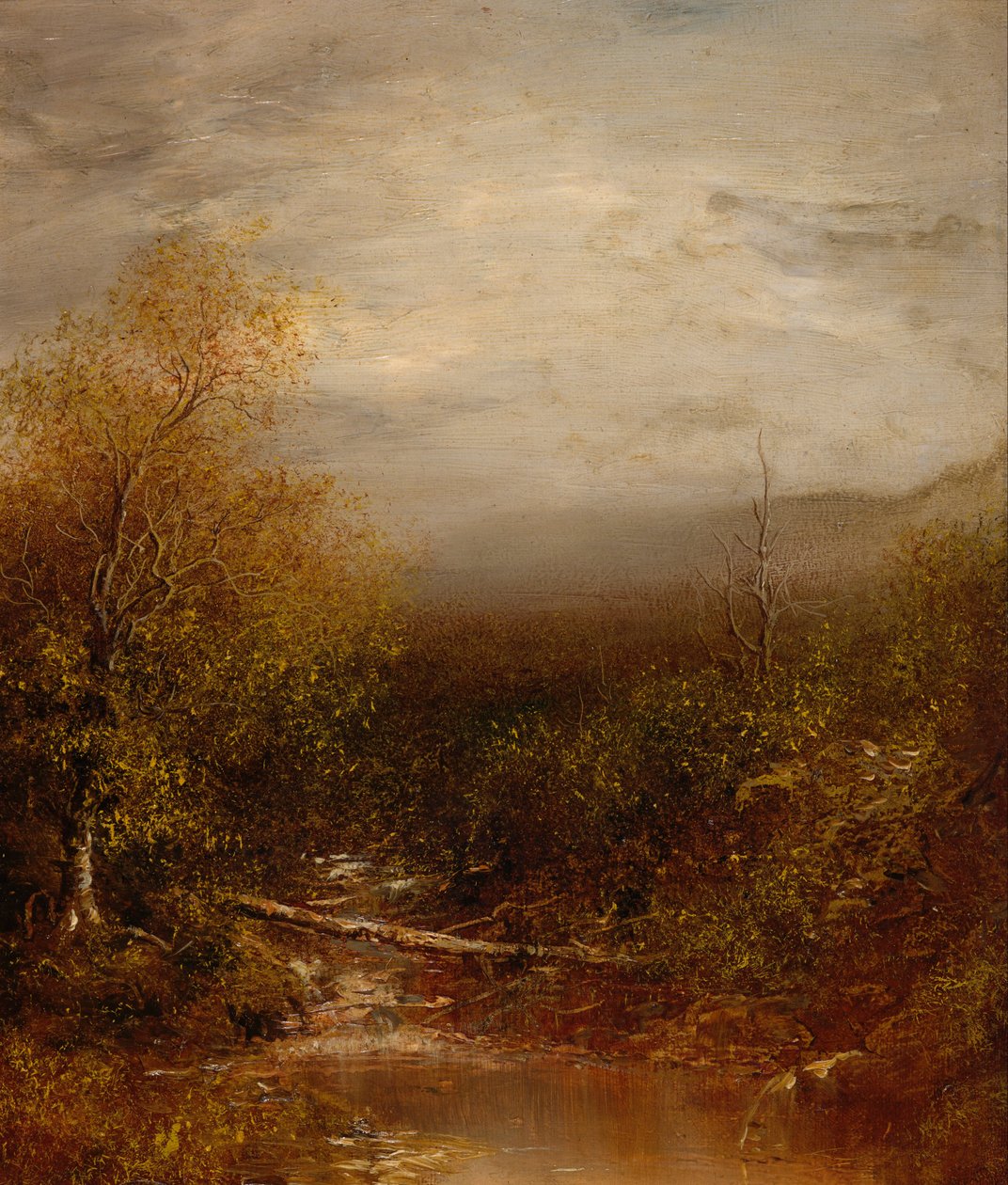 Stagno negli Adirondacks da Ralph Albert Blakelock